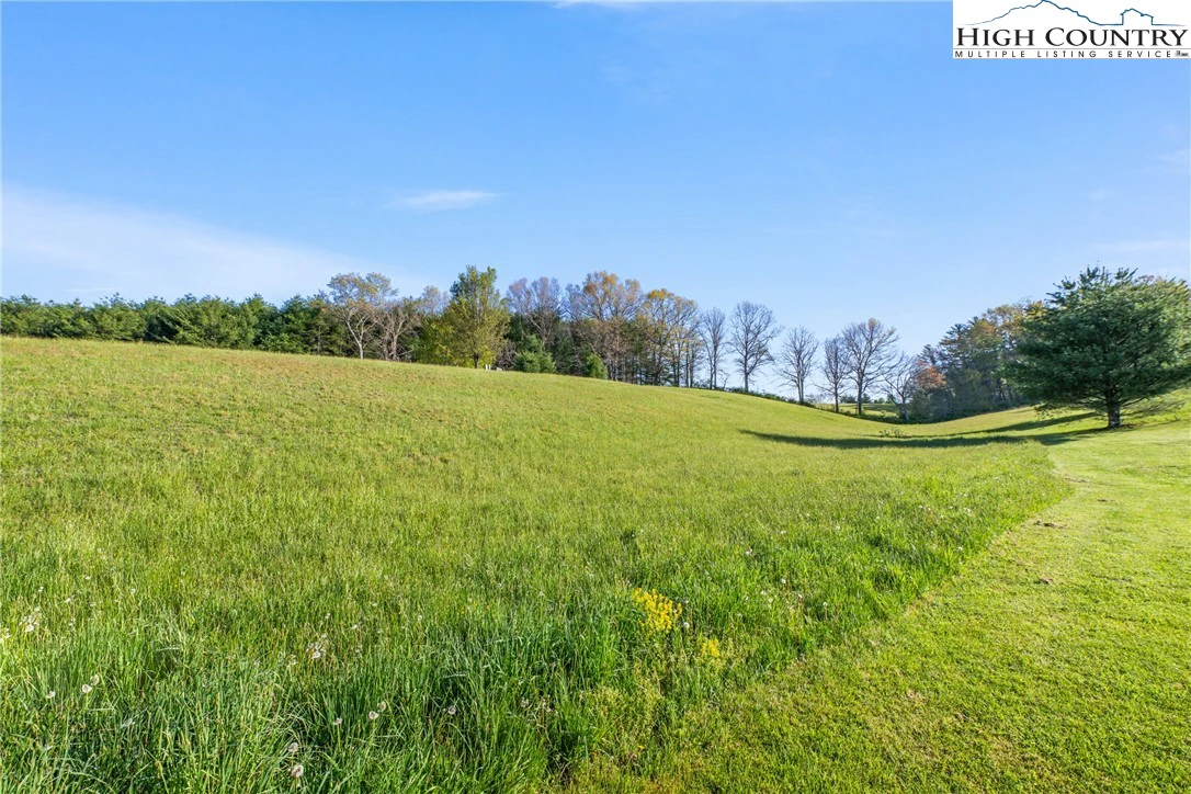 Image number 7 for the current listing