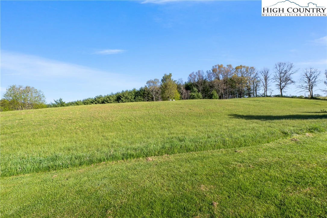 Image number 6 for the current listing