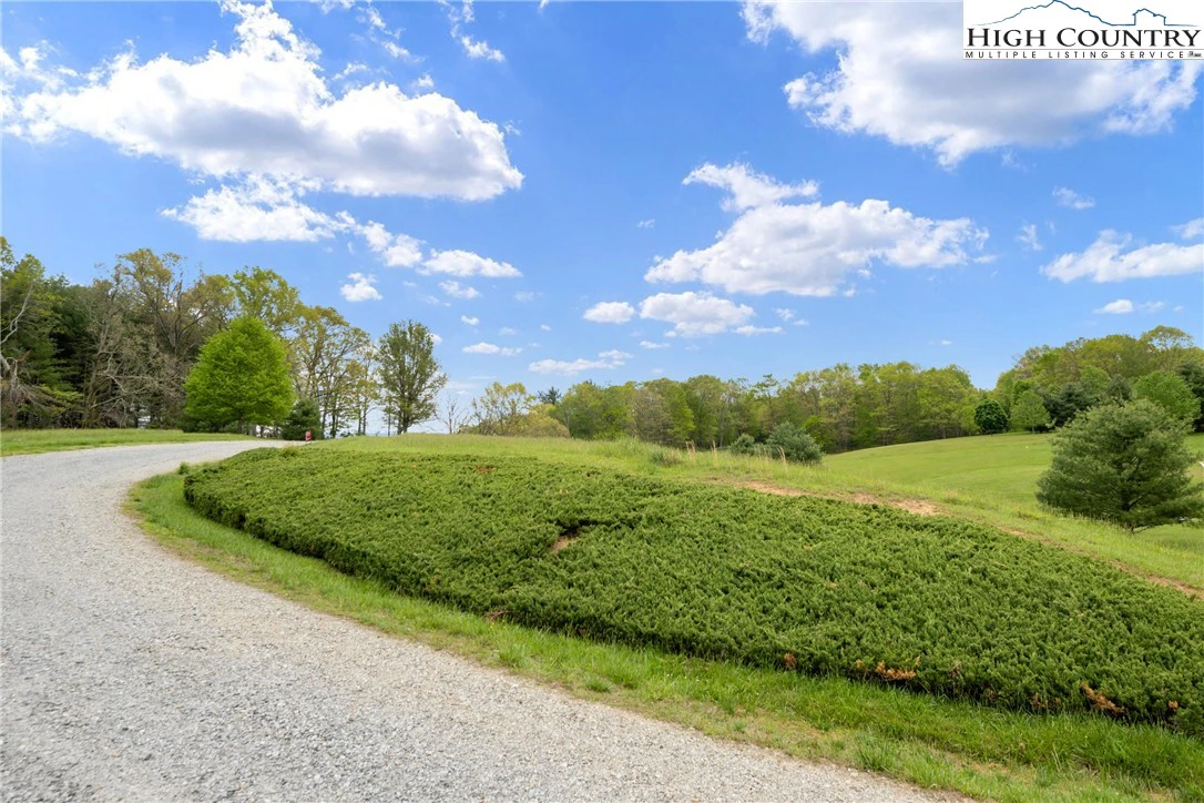 Image number 19 for the current listing