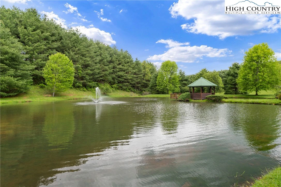 Image number 14 for the current listing
