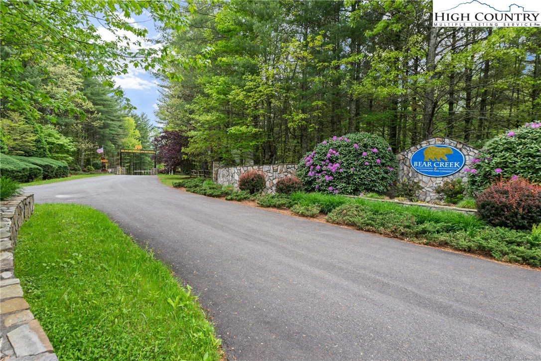 Image number 3 for the current listing