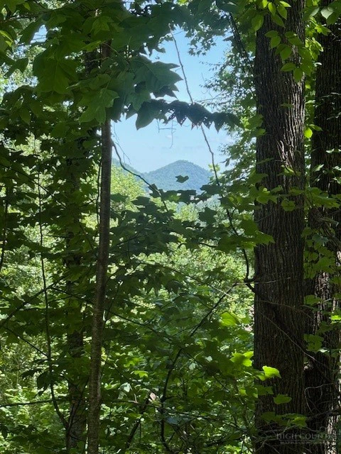 Image number 1 for the current listing