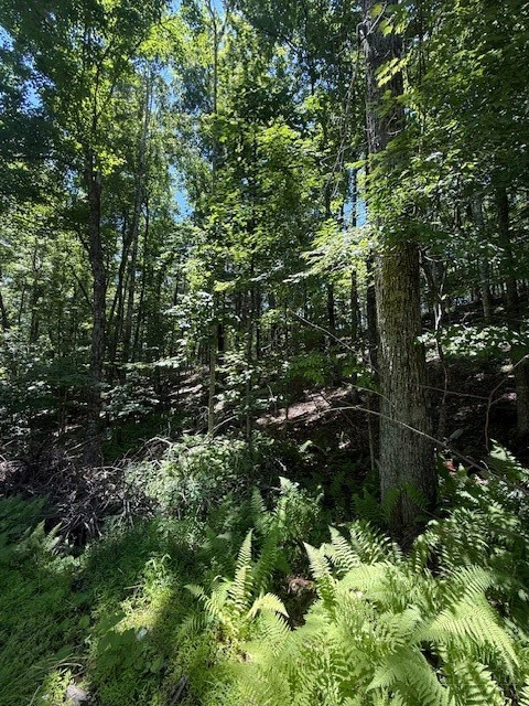 Image number 3 for the current listing
