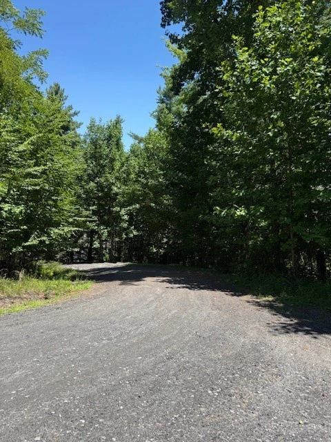 Image number 4 for the current listing