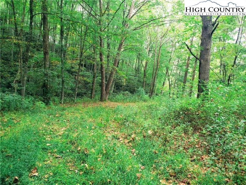 Image number 6 for the current listing