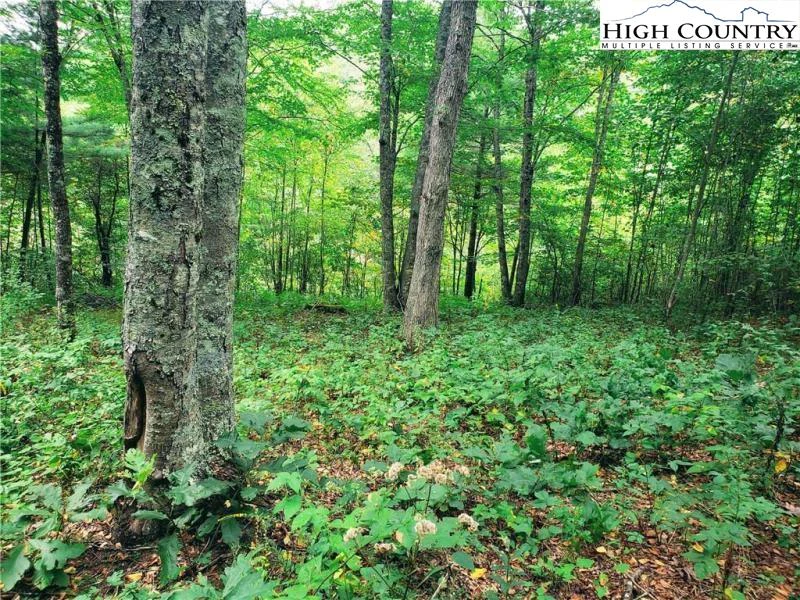 Image number 8 for the current listing