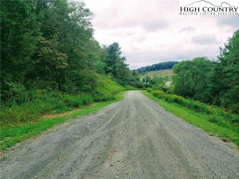Image number 10 for the current listing