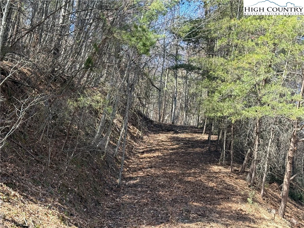 Image number 1 for the current listing