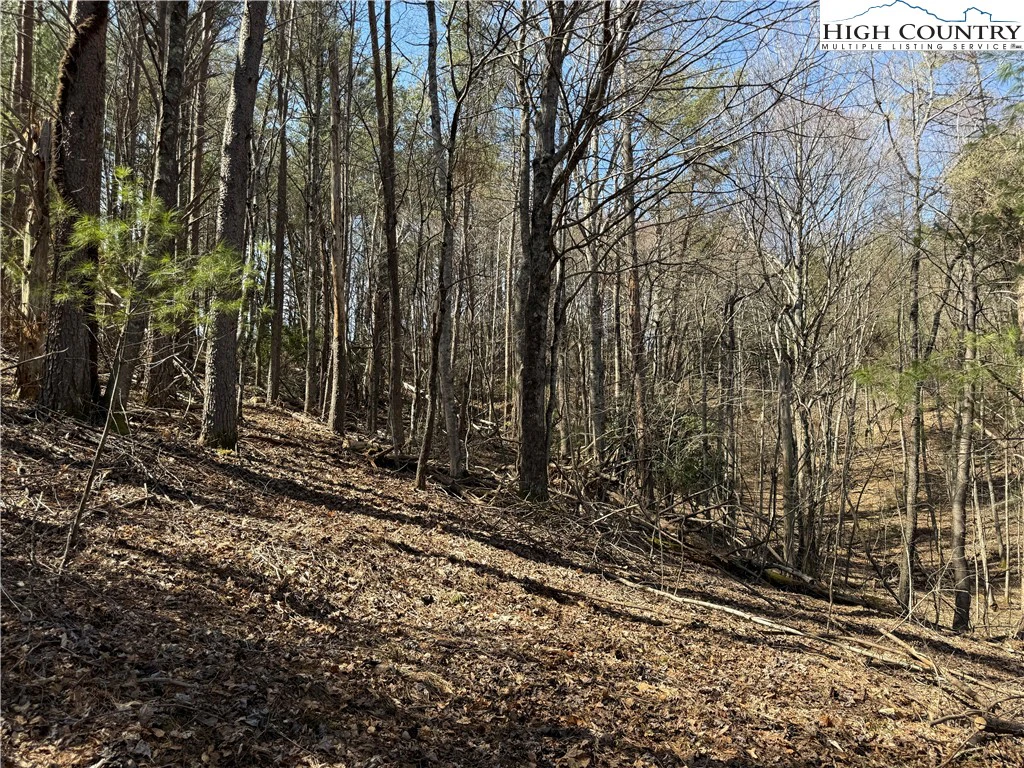 Image number 3 for the current listing