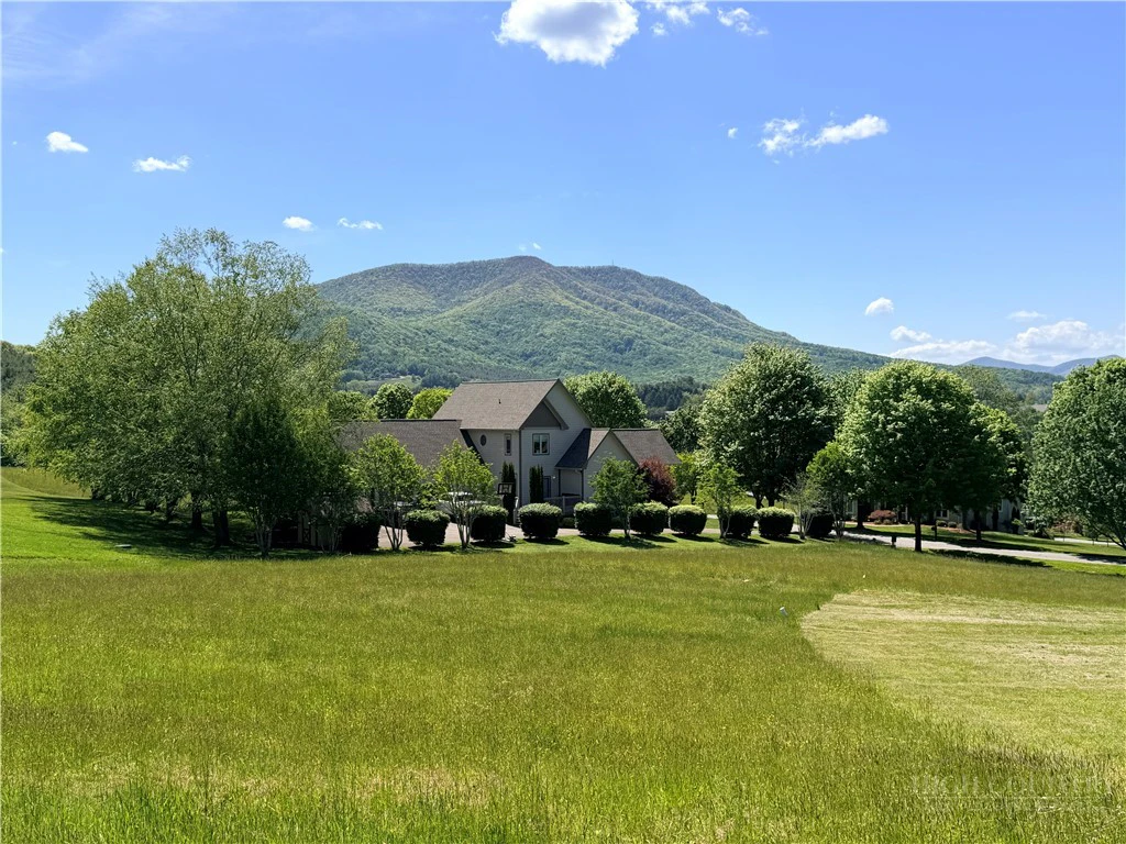 Image number 1 for the current listing