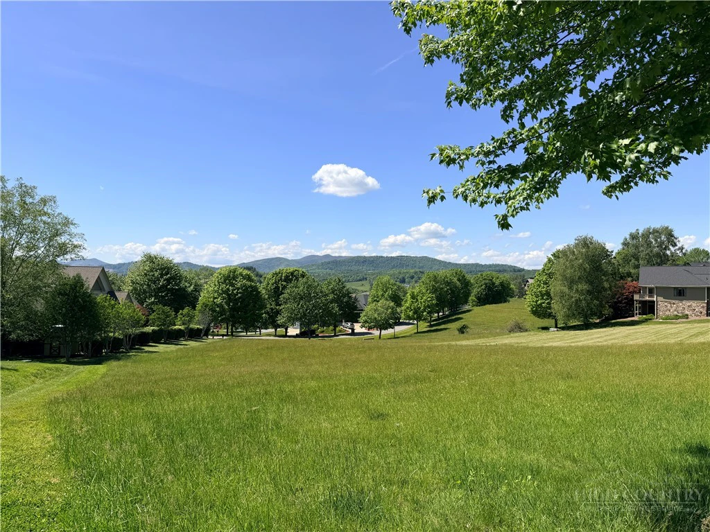 Image number 17 for the current listing