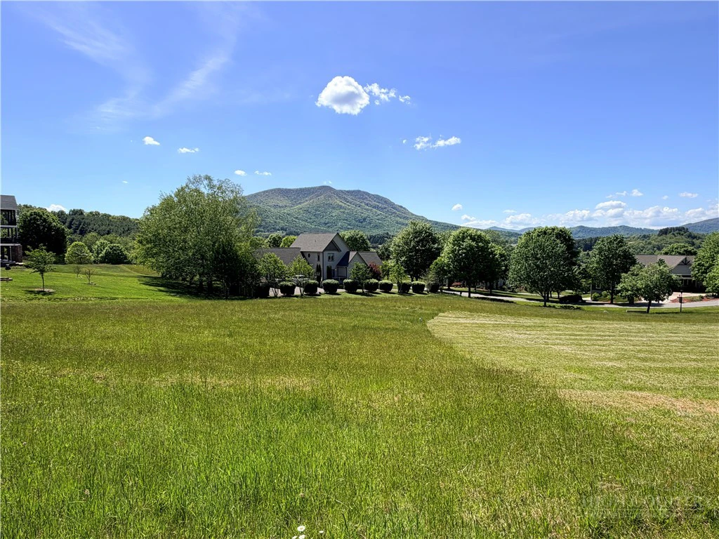 Image number 15 for the current listing