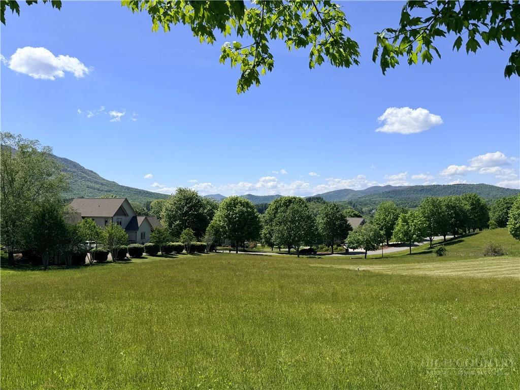 Image number 14 for the current listing