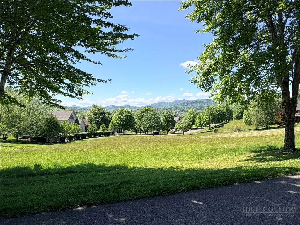 Image number 13 for the current listing