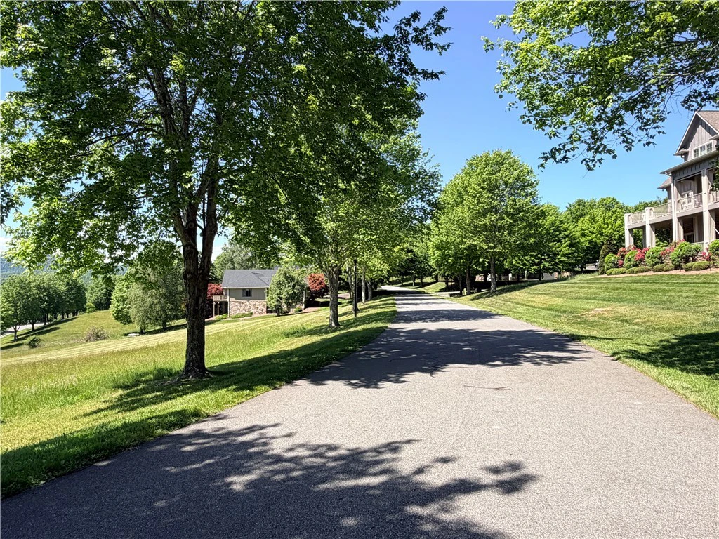 Image number 2 for the current listing