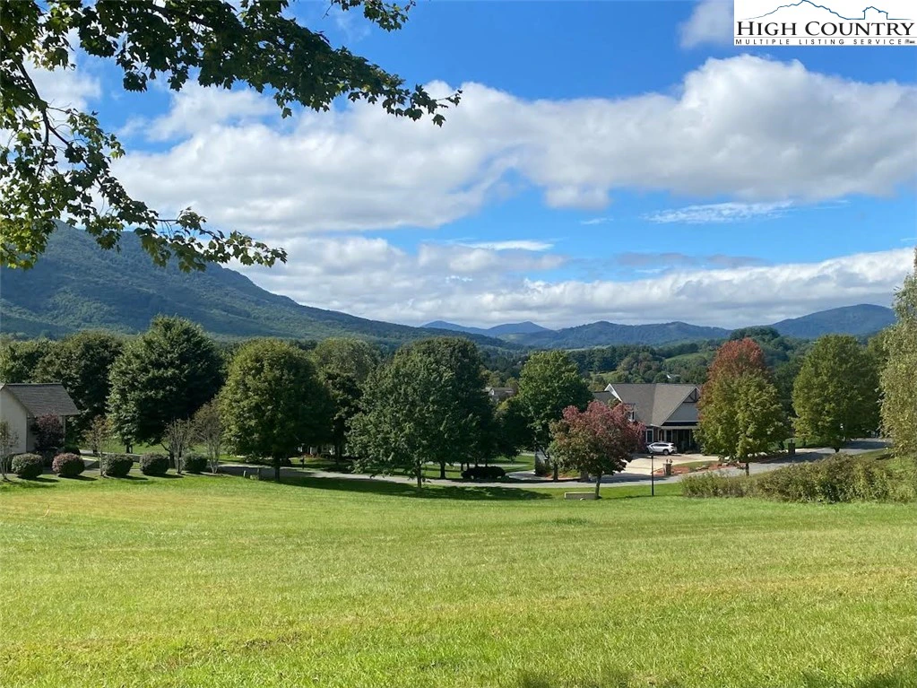 Image number 1 for the current listing