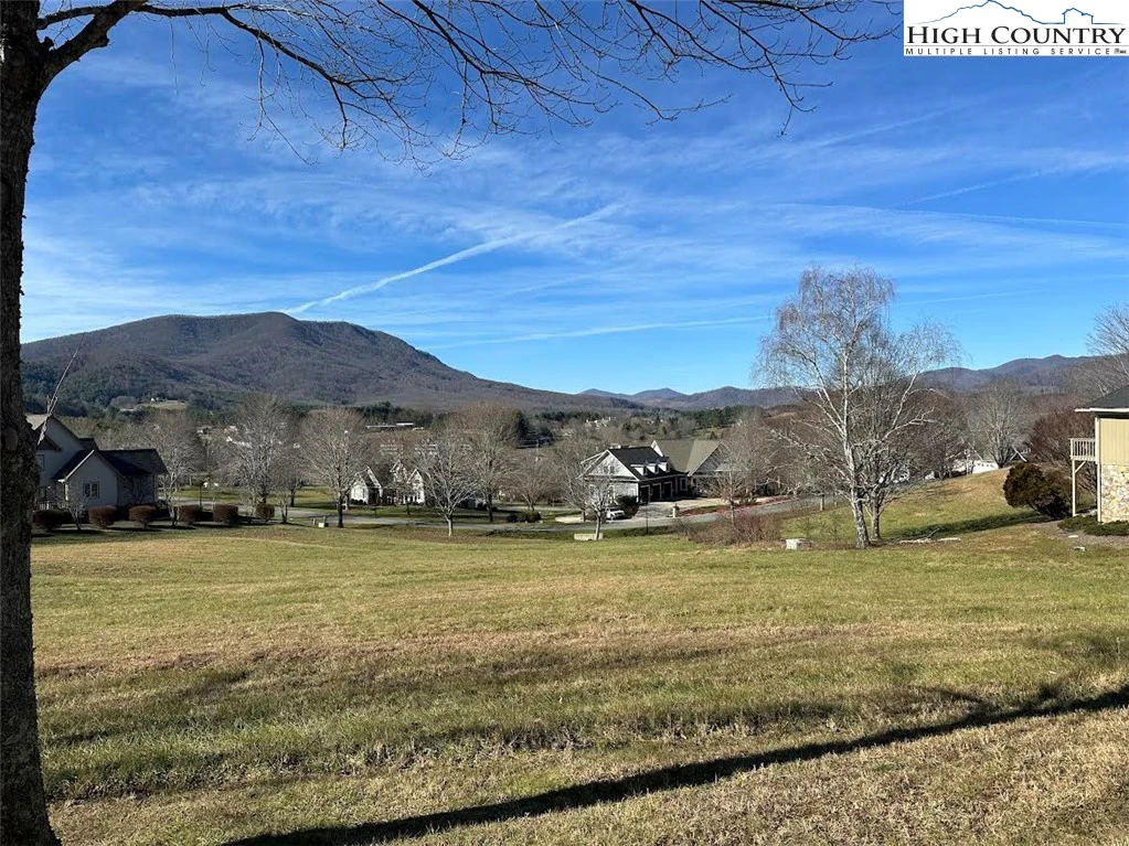 Image number 4 for the current listing