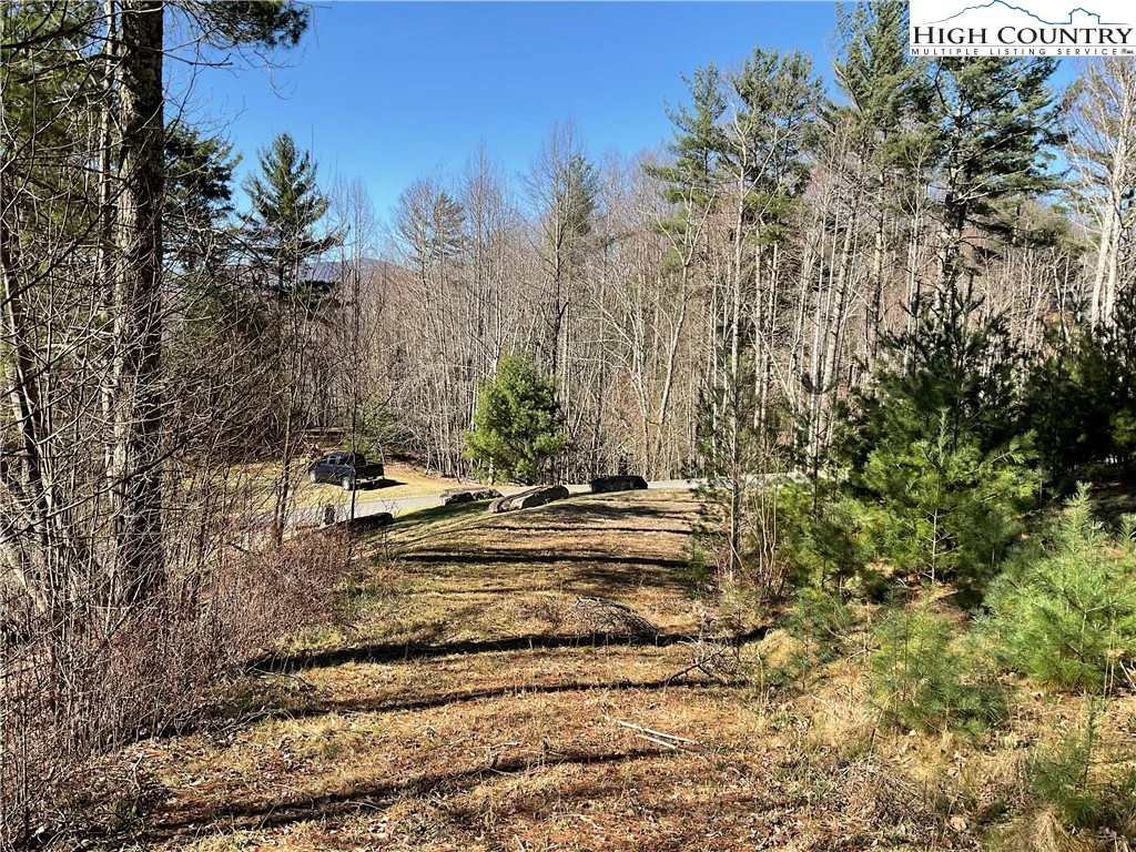 Image number 1 for the current listing