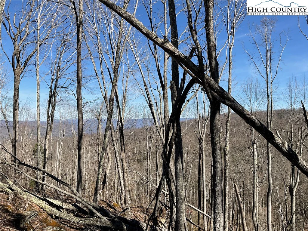 Image number 7 for the current listing
