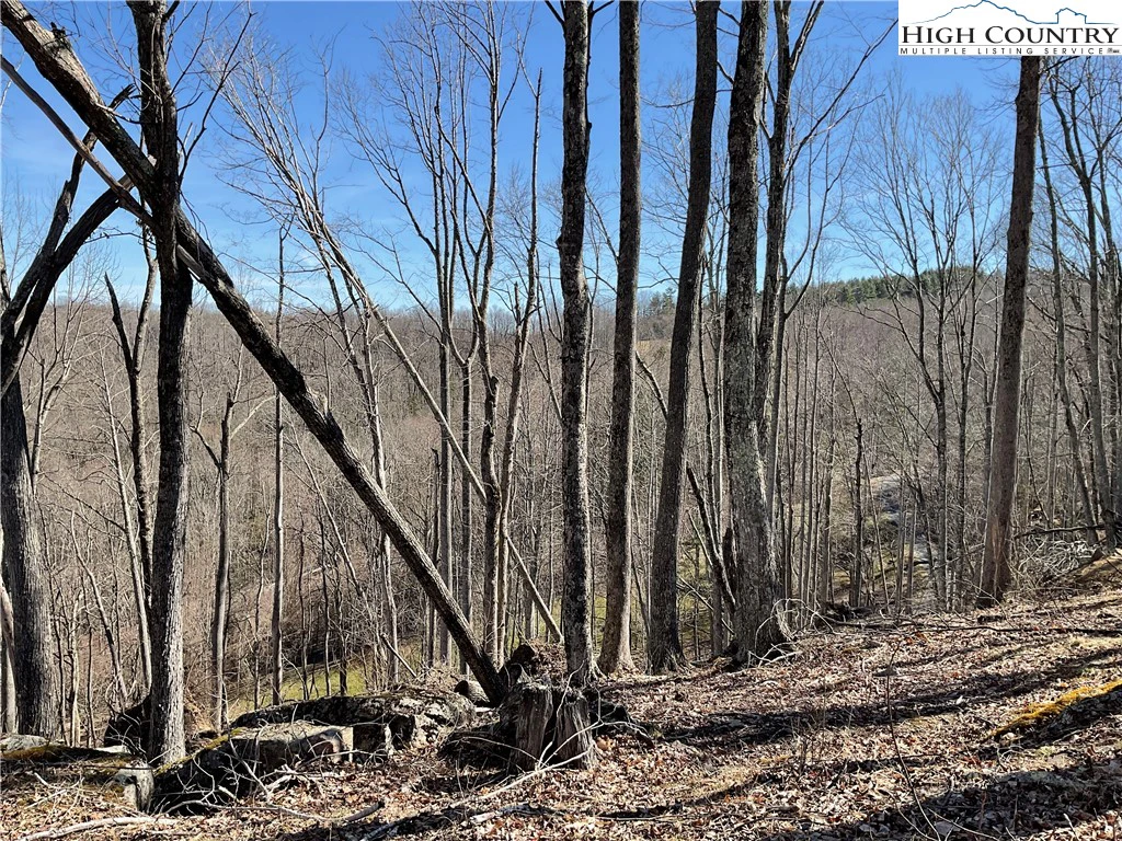 Image number 11 for the current listing