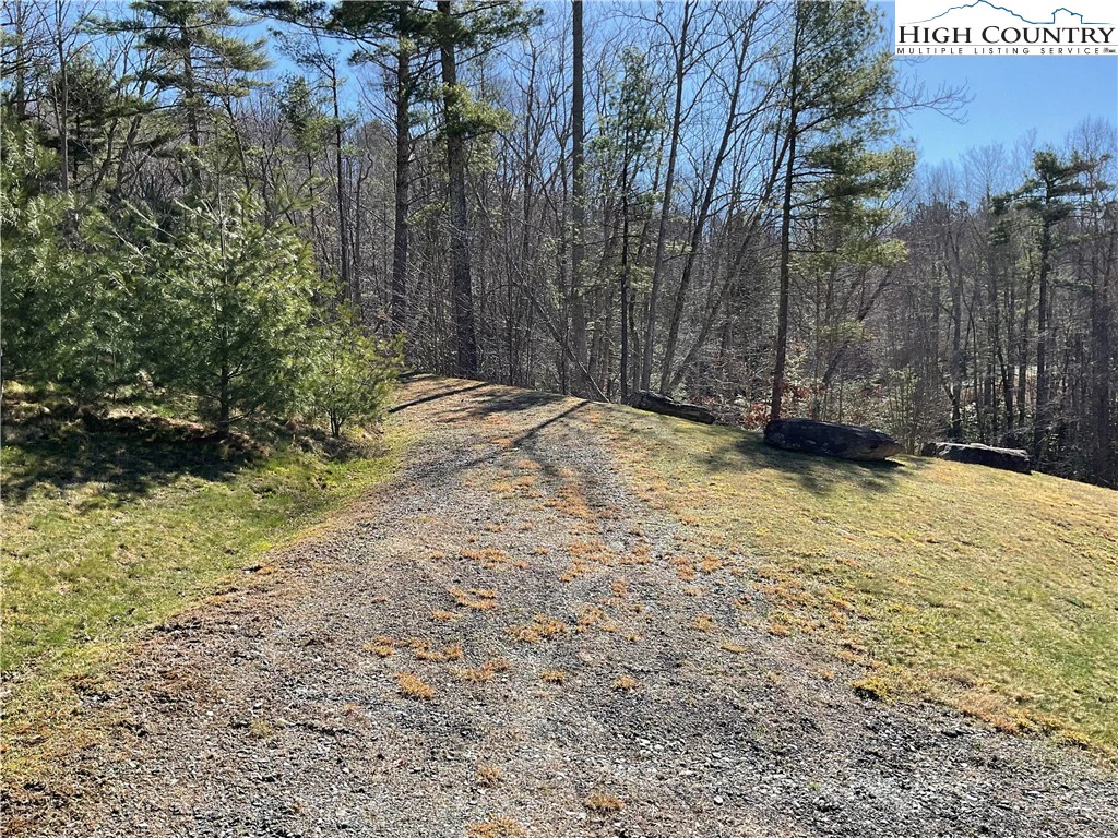 Image number 12 for the current listing