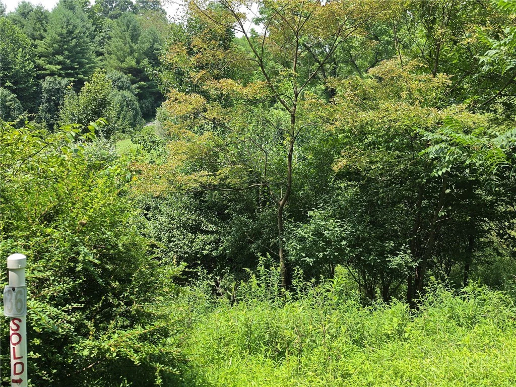 Image number 1 for the current listing