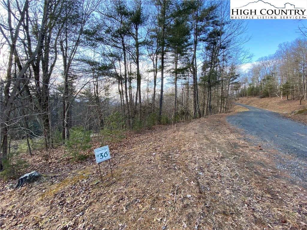 Image number 1 for the current listing