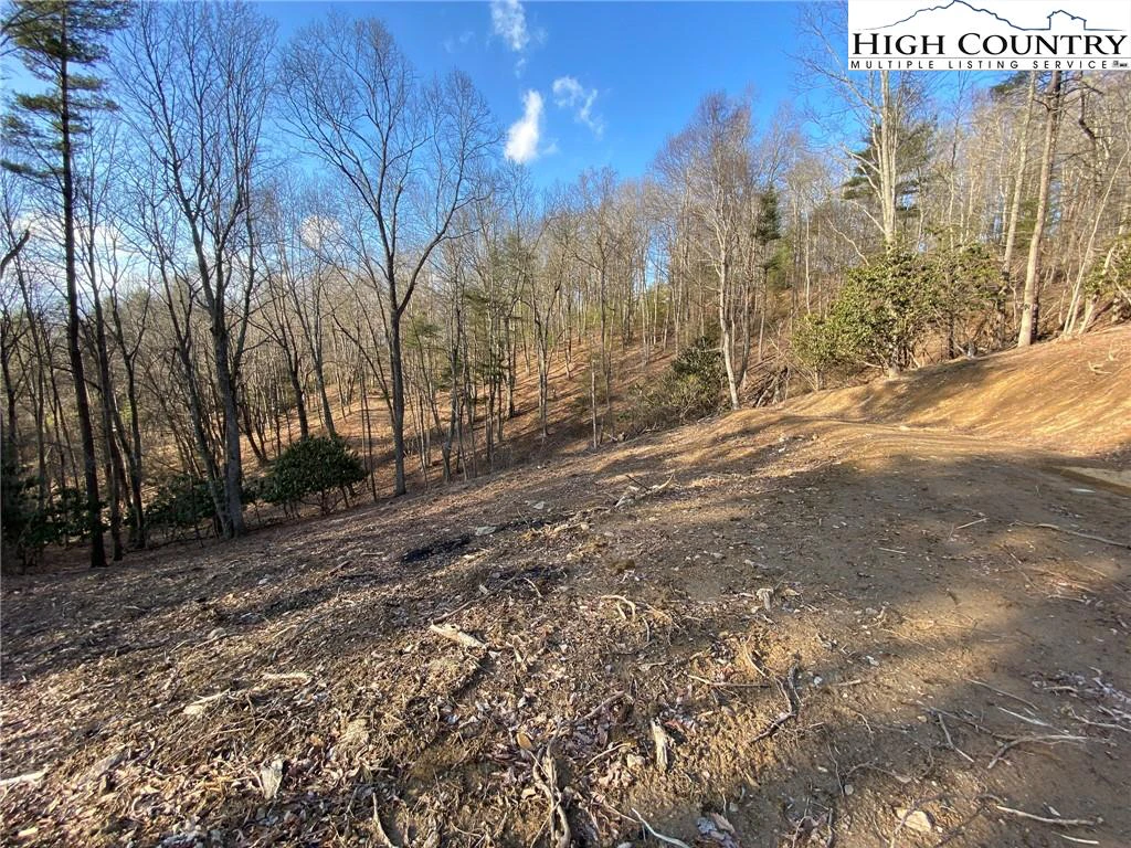 Image number 11 for the current listing