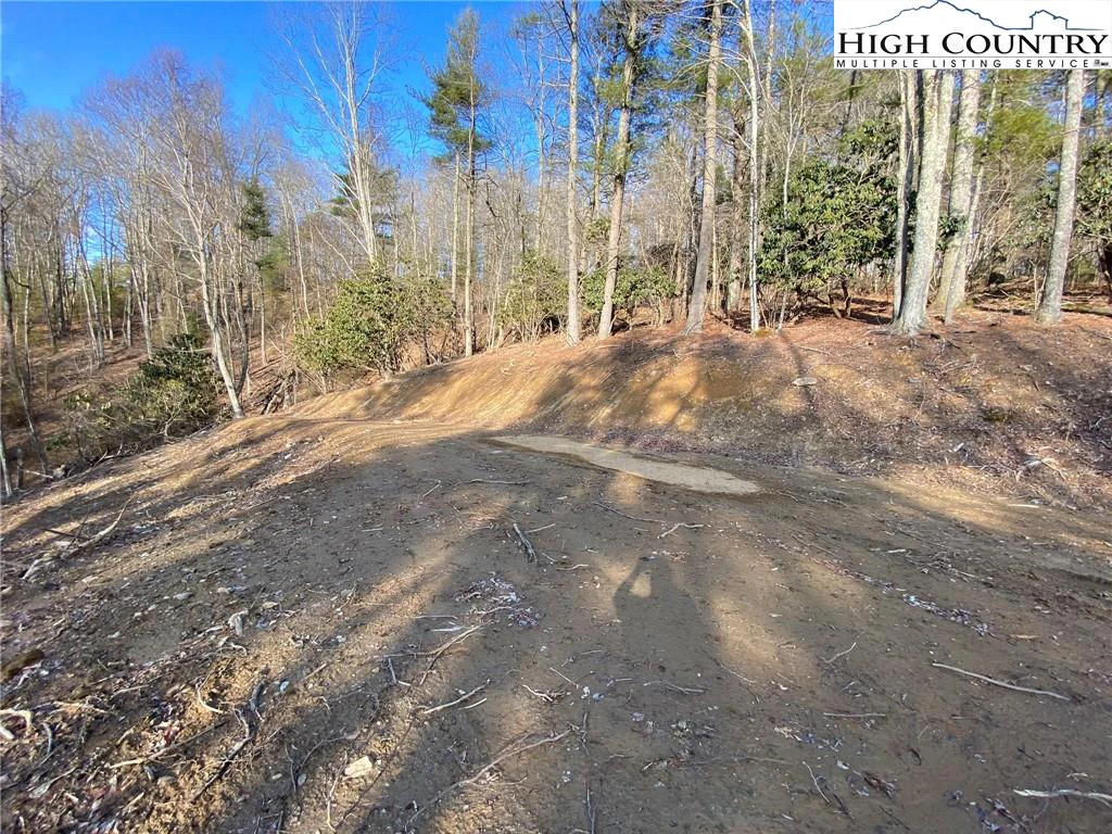 Image number 12 for the current listing