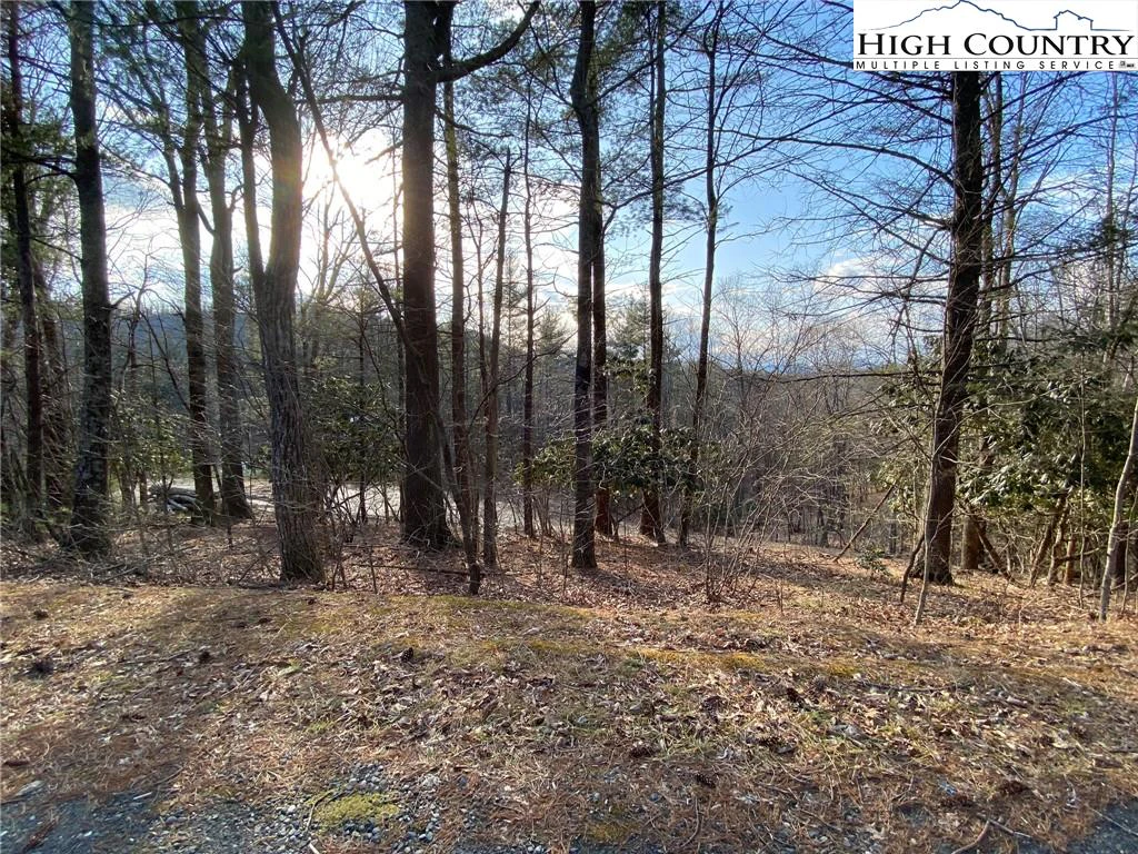 Image number 3 for the current listing