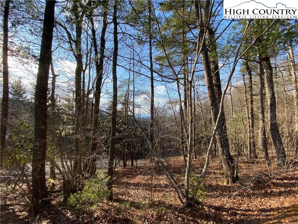 Image number 4 for the current listing