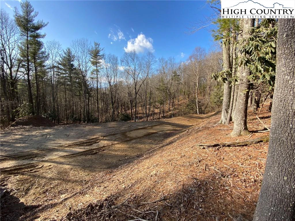 Image number 5 for the current listing