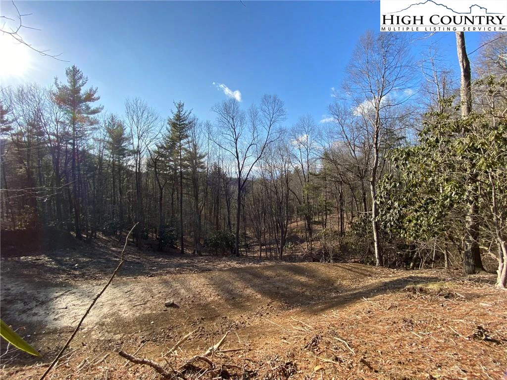 Image number 6 for the current listing