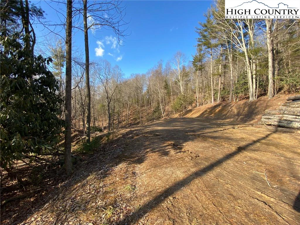 Image number 7 for the current listing