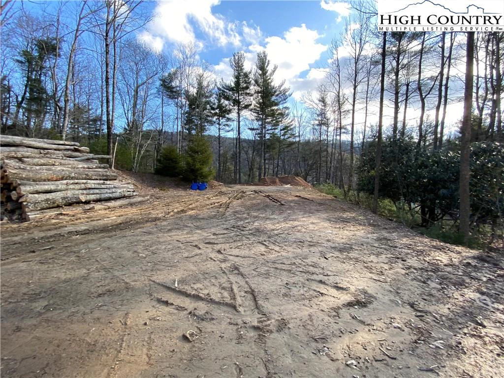 Image number 8 for the current listing