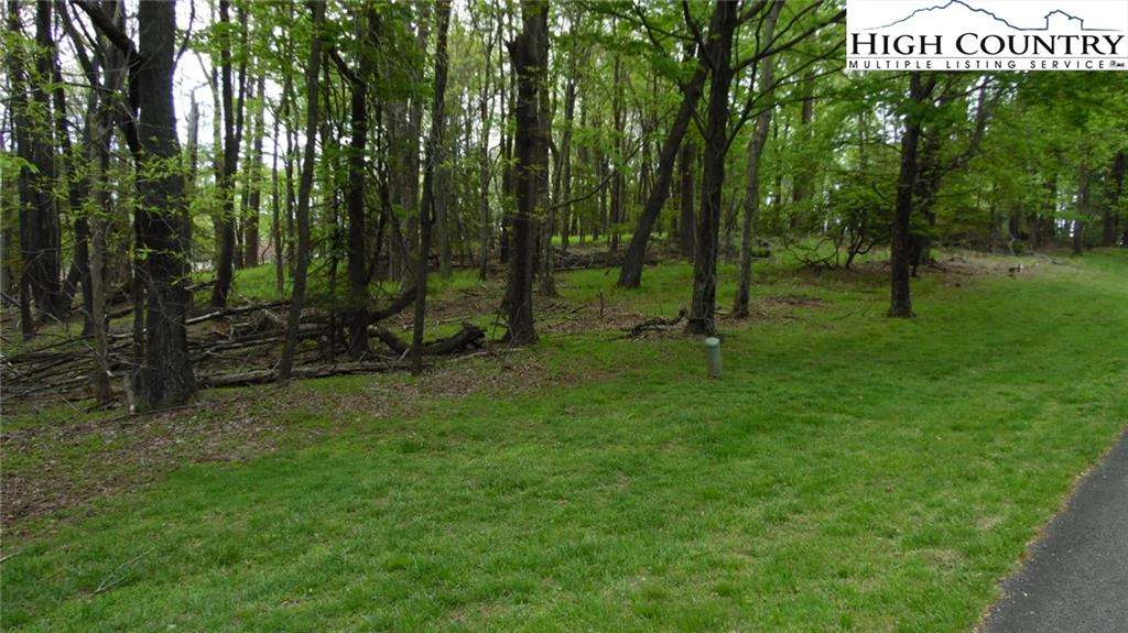 Image number 1 for the current listing