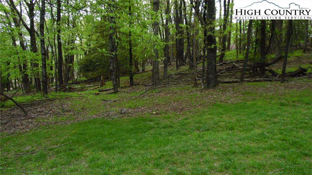 Image number 3 for the current listing