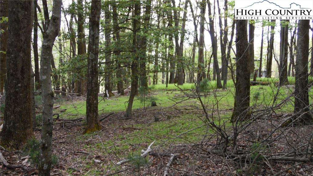 Image number 7 for the current listing