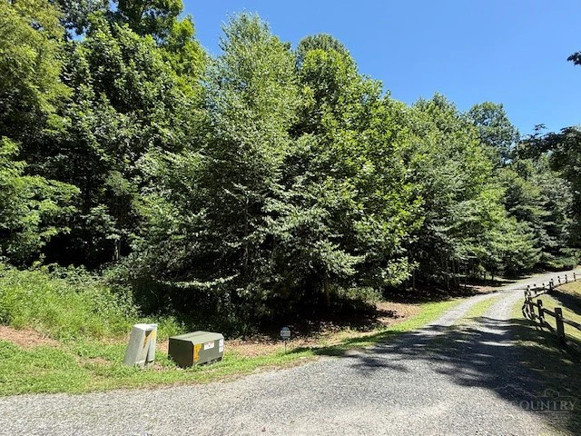 Image number 1 for the current listing
