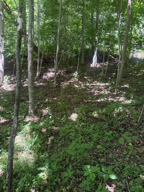Image number 2 for the current listing