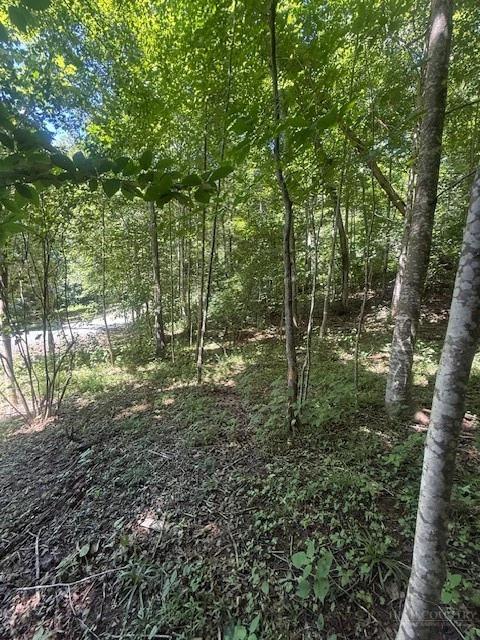 Image number 5 for the current listing