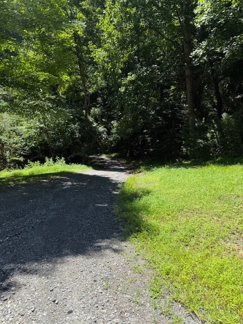 Image number 6 for the current listing