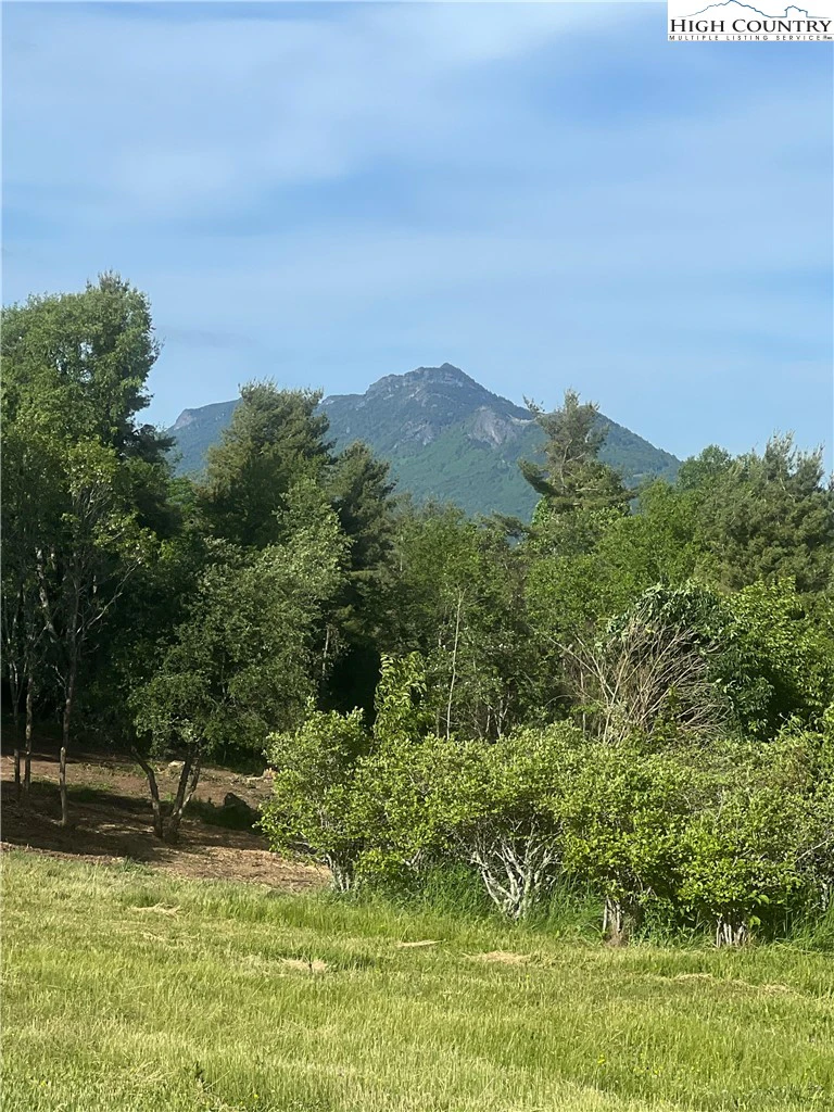 Image number 1 for the current listing