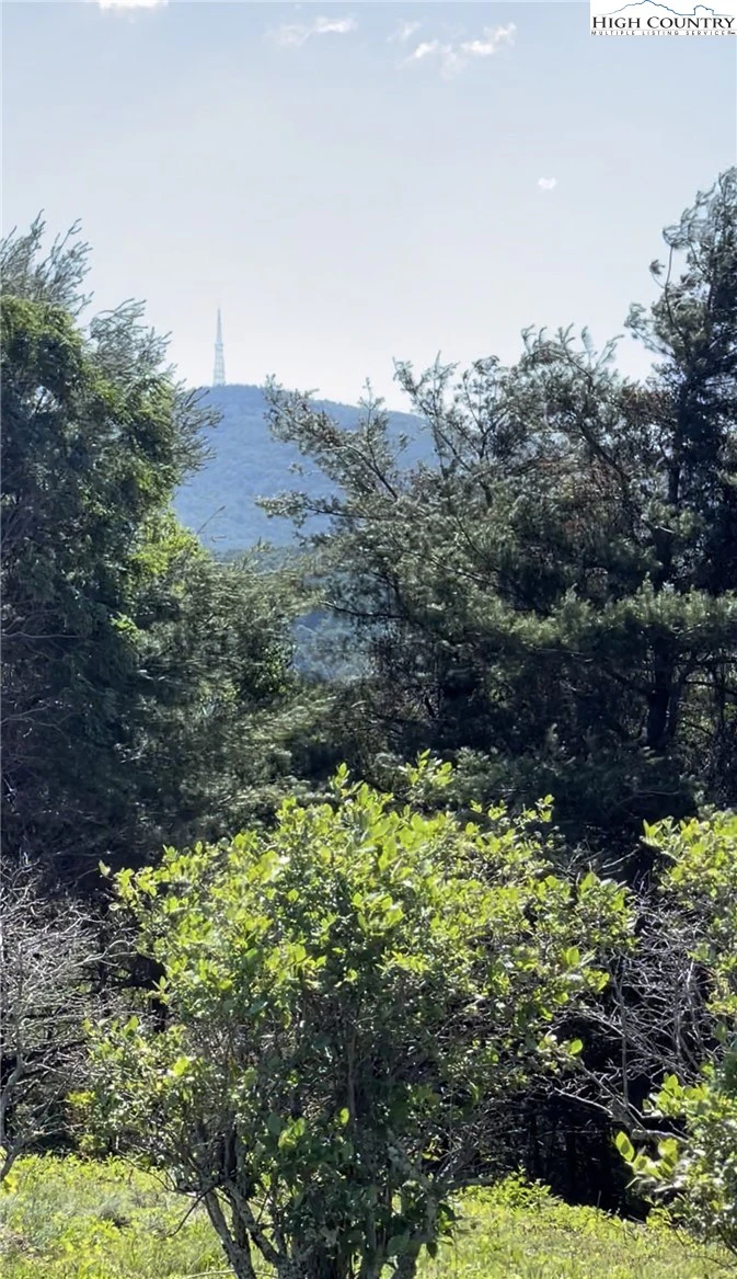 Image number 3 for the current listing