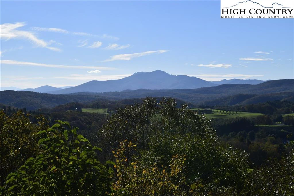 Image number 1 for the current listing