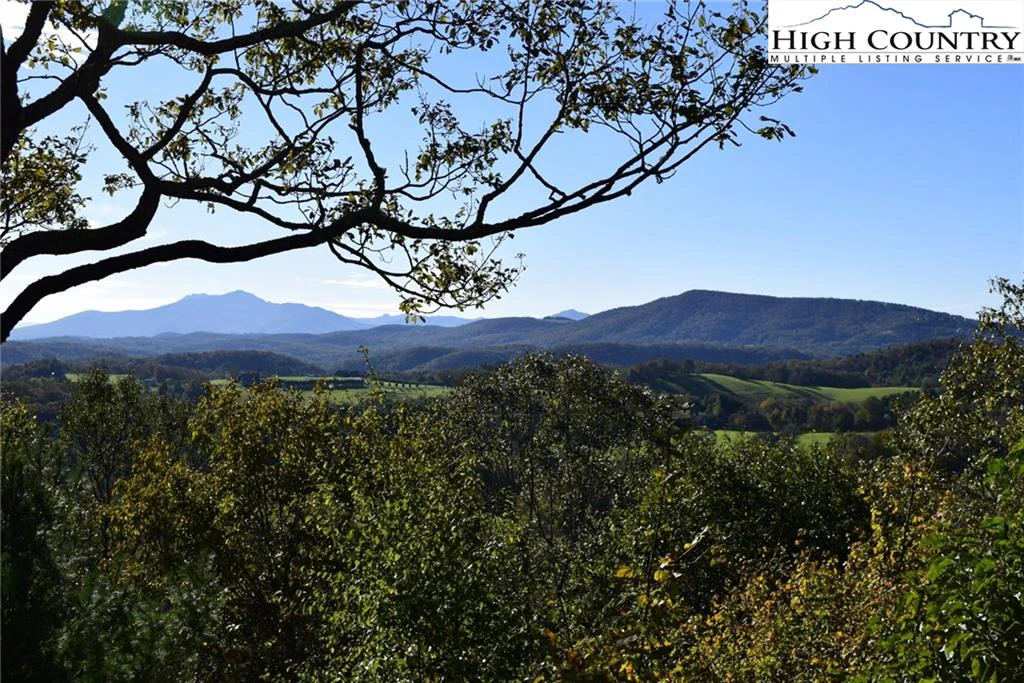 Image number 3 for the current listing