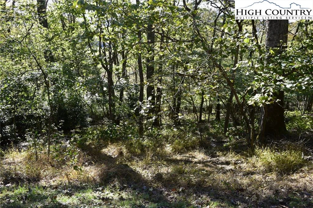 Image number 6 for the current listing