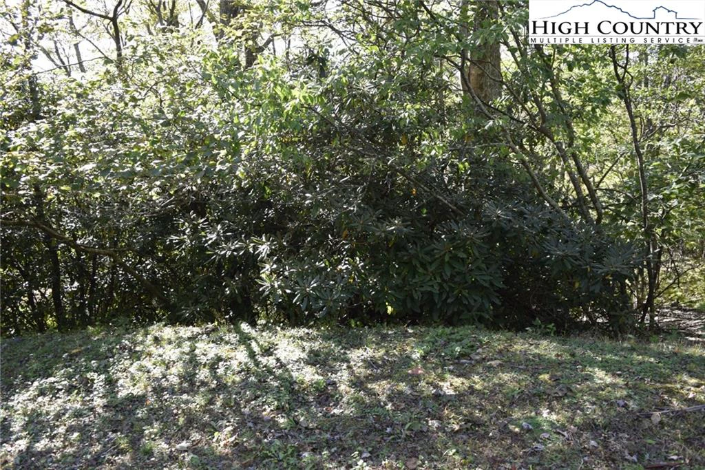 Image number 9 for the current listing