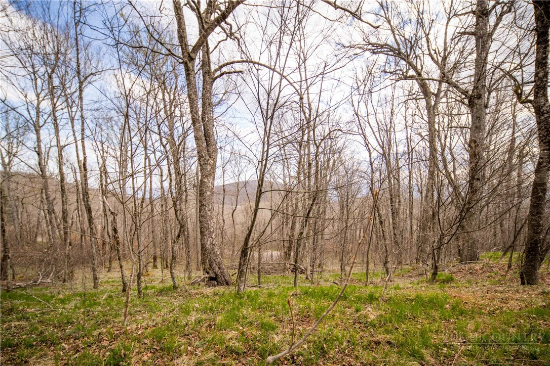 Image number 1 for the current listing