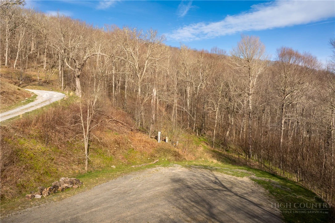 Image number 6 for the current listing